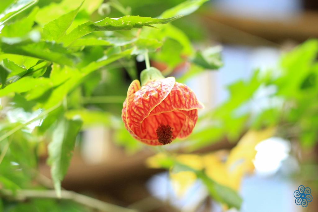 Pousada Villaggio Assis Ilhabela Dış mekan fotoğraf
